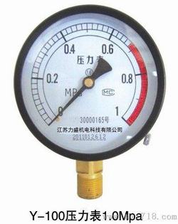 “長春寧夏標準數字壓力表“/