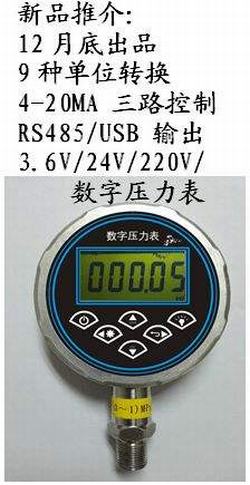 “成都壓力表數顯與指針哪個好“/