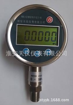 “南昌底價數顯電子壓力表“/