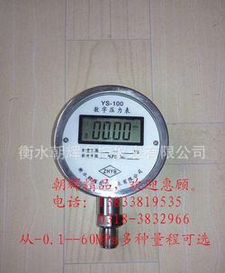 “株洲數(shù)顯精密標準壓力表“/
