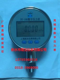 “常州RK-S5數(shù)顯壓力表“/